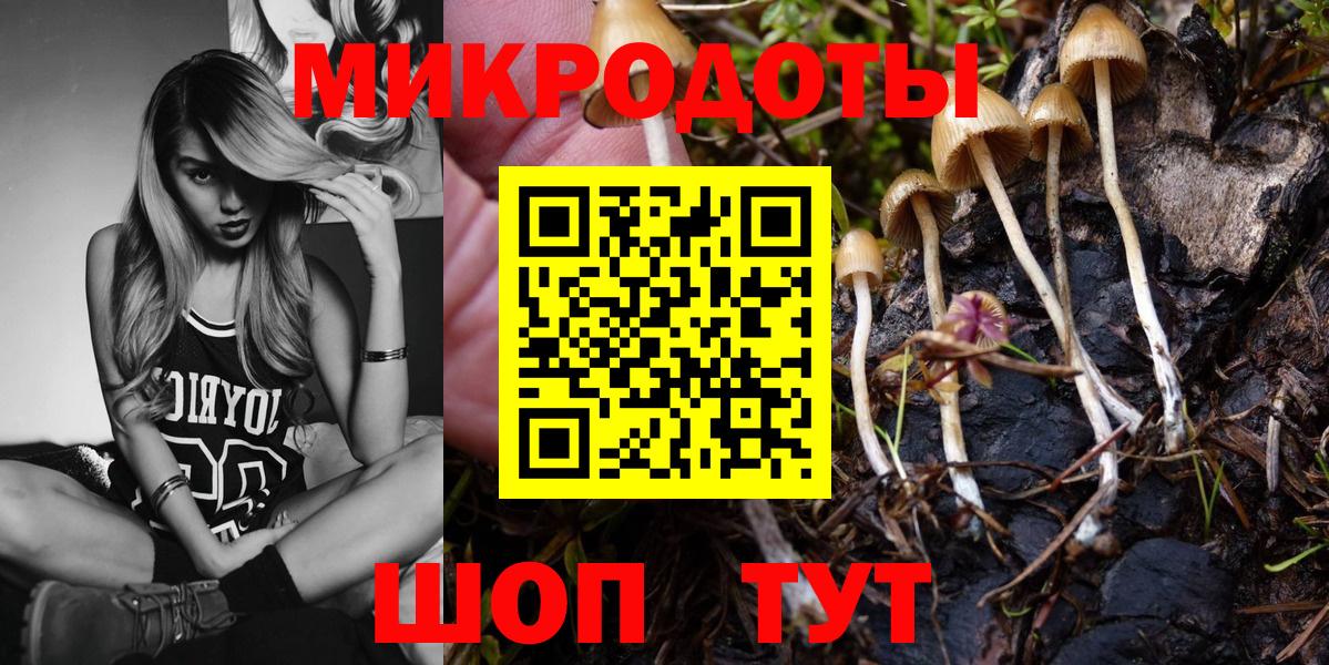 Псилоцибиновые грибы Cubensis  Вход с VPN  Муром  Псилоцибиновые грибы Psilocybe 